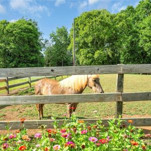 Photo #45 of 1900 Monterosa, Concord, NC