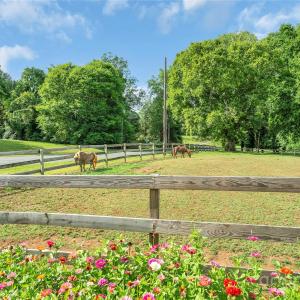 Photo #44 of 1900 Monterosa, Concord, NC