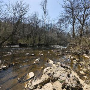 Photo #13 of Hartsell, Albemarle, NC