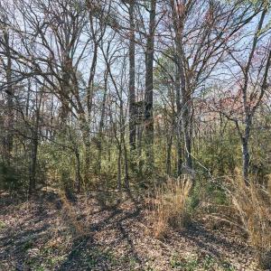 Photo #8 of Hartsell, Albemarle, NC
