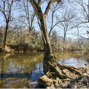 Photo #12 of Hartsell, Albemarle, NC