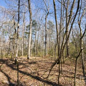 Photo #20 of Hartsell, Albemarle, NC
