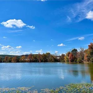 Photo #3 of Bowers, Norwood, NC