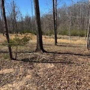 Photo #2 of 1639 +1643 Mallard Bay, York, SC