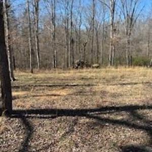 Photo #5 of 1639 +1643 Mallard Bay, York, SC