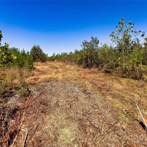 Photo #9 of Todd Quarter, Waterloo, SC