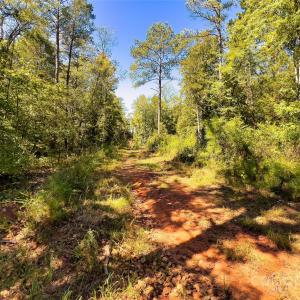 Photo #21 of Todd Quarter, Waterloo, SC