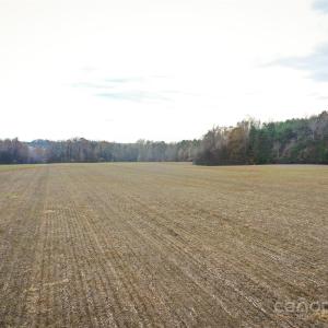 Photo #14 of Needmore, Woodleaf, NC