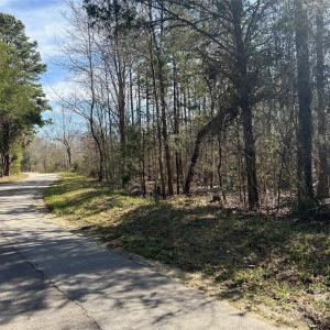 Photo #13 of TBD Green Pond, Indian Land, SC