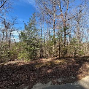 Photo #18 of TBD Green Pond, Indian Land, SC