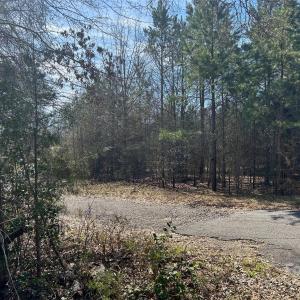 Photo #7 of TBD Green Pond, Indian Land, SC