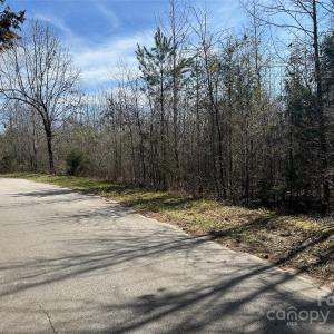 Photo #21 of TBD Green Pond, Indian Land, SC