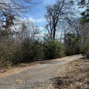 Photo #8 of TBD Green Pond, Indian Land, SC