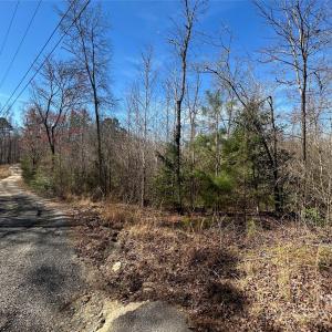 Photo #17 of TBD Green Pond, Indian Land, SC