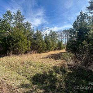 Photo #6 of TBD Green Pond, Indian Land, SC