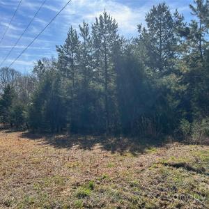 Photo #3 of TBD Green Pond, Indian Land, SC