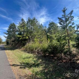 Photo #5 of TBD Green Pond, Indian Land, SC