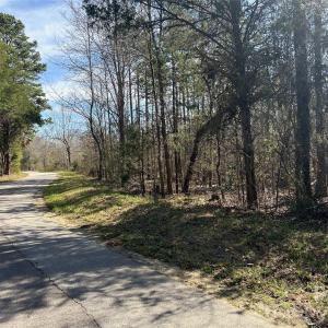 Photo #13 of TBD Green Pond, Indian Land, SC