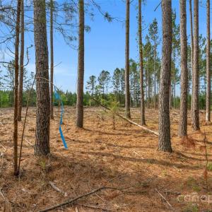 Photo #30 of Old Nunnery Farm, Fort Lawn, SC