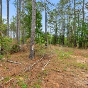 Photo #28 of Old Nunnery Farm, Fort Lawn, SC