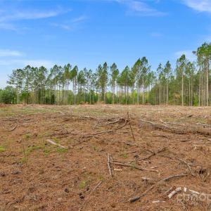 Photo #34 of Old Nunnery Farm, Fort Lawn, SC