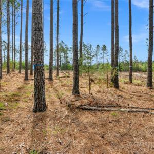 Photo #29 of Old Nunnery Farm, Fort Lawn, SC