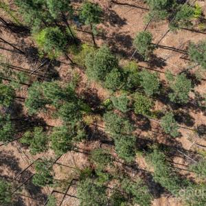 Photo #35 of Old Nunnery Farm, Fort Lawn, SC