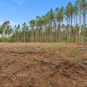 Photo #33 of Old Nunnery Farm, Fort Lawn, SC