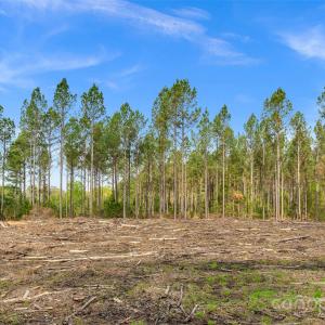 Photo #23 of Old Nunnery Farm, Fort Lawn, SC