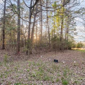 Photo #11 of 2628 NC 49, Concord, NC