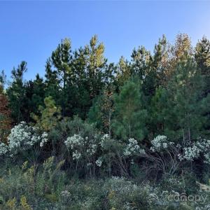 Photo #2 of NE CONNECTOR, Albemarle, NC