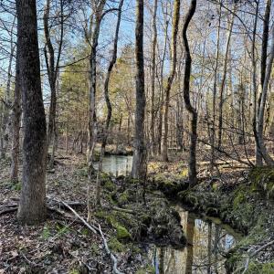 Photo #21 of Daystar, Lancaster, SC