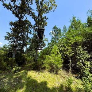 Photo #12 of Daystar, Lancaster, SC