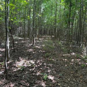 Photo #13 of Daystar, Lancaster, SC