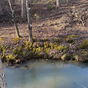 Photo #17 of Daystar, Lancaster, SC