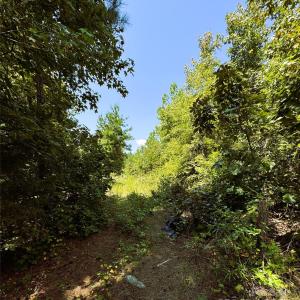 Photo #9 of Daystar, Lancaster, SC