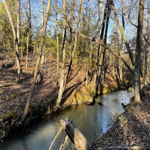 Photo #15 of Daystar, Lancaster, SC