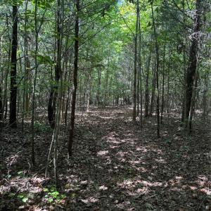 Photo #14 of Daystar, Lancaster, SC