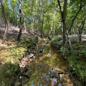 Photo #6 of Daystar, Lancaster, SC