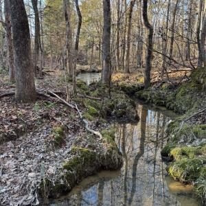 Photo #20 of Daystar, Lancaster, SC