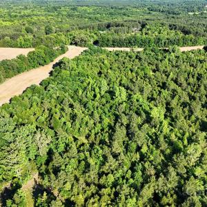 Photo #1 of Daystar, Lancaster, SC