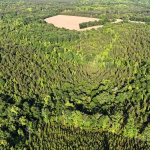 Photo #2 of Daystar, Lancaster, SC