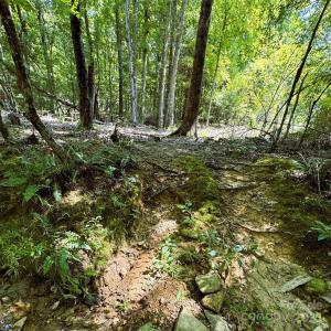 Photo #5 of Daystar, Lancaster, SC