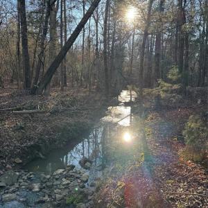 Photo #18 of Daystar, Lancaster, SC