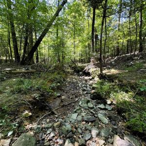 Photo #8 of Daystar, Lancaster, SC