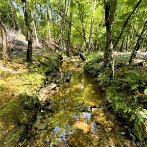 Photo #3 of Daystar, Lancaster, SC