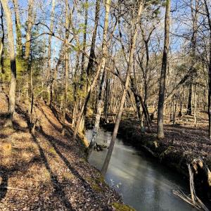 Photo #19 of Daystar, Lancaster, SC