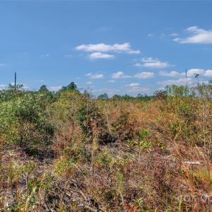 Photo #15 of Riley, Chesterfield, SC