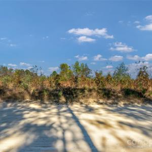 Photo #10 of Riley, Chesterfield, SC