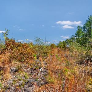 Photo #18 of Riley, Chesterfield, SC